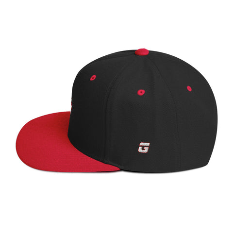 TGBG District Snapback