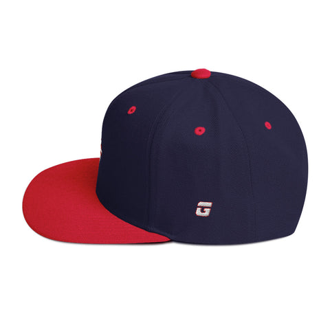 TGBG District Snapback