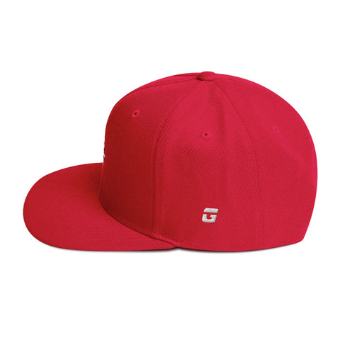 TGBG District Snapback