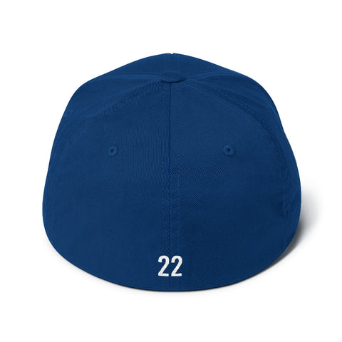 TGBG Flex-Fit Cap